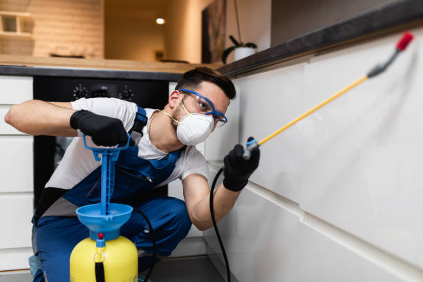 Best Rat Extermination Near Me  in Glendale, WI