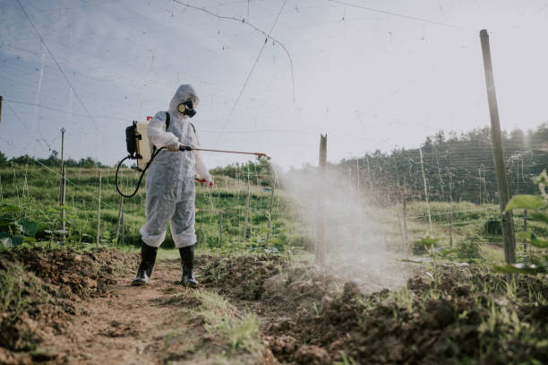 Best Local Pest Control Services  in Glendale, WI