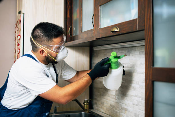 Trusted Glendale, WI Pest Control Experts